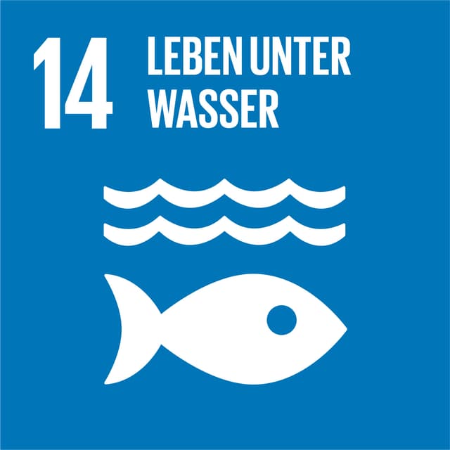 Life Below Water